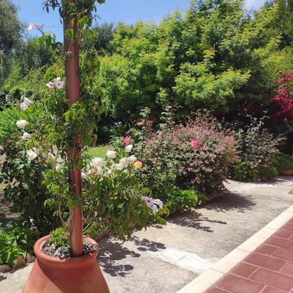 La Casa Di Giada, Appartamento In Villetta Con Aria Condizionata, Wi-Fi E Parcheggio Gratuito Poggi Екстериор снимка